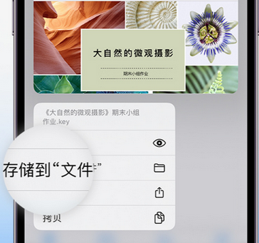 红岗apple维修中心分享iPhone文件应用中存储和找到下载文件