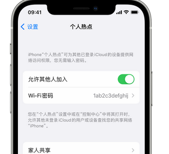 红岗apple服务站点分享iPhone上个人热点丢失了怎么办 