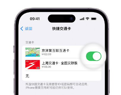 红岗apple维修点分享iPhone上更换Apple Pay快捷交通卡手绘卡面 