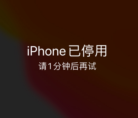 红岗苹果手机维修分享:iPhone 显示“不可用”或“已停用”怎么办？还能保留数据吗？ 