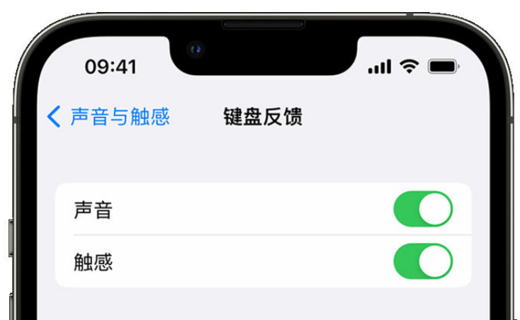 红岗苹果手机维修分享iPhone 14触感键盘使用方法 