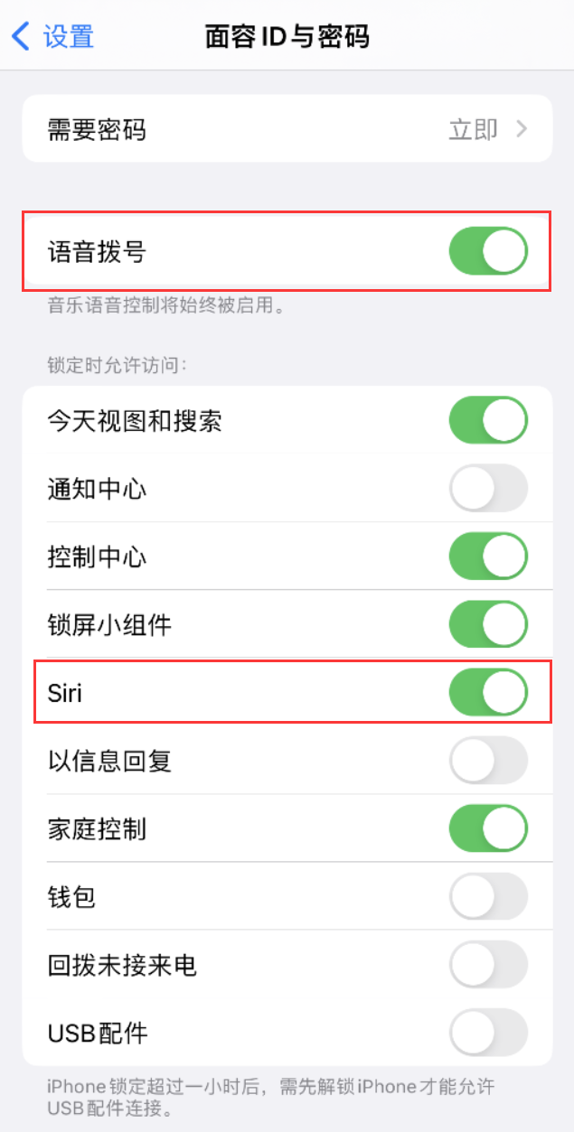 红岗苹果维修网点分享不解锁 iPhone 的情况下通过 Siri 拨打电话的方法 