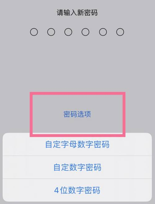 红岗苹果14维修分享iPhone 14plus设置密码的方法 