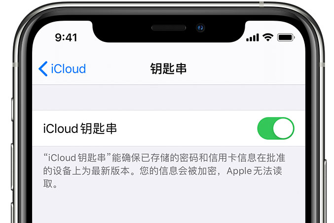 红岗苹果手机维修分享在 iPhone 上开启 iCloud 钥匙串之后会储存哪些信息 