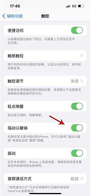 红岗苹果手机维修分享iPhone手机如何设置摇一摇删除文字 